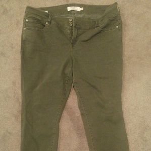 Women's plus size pants